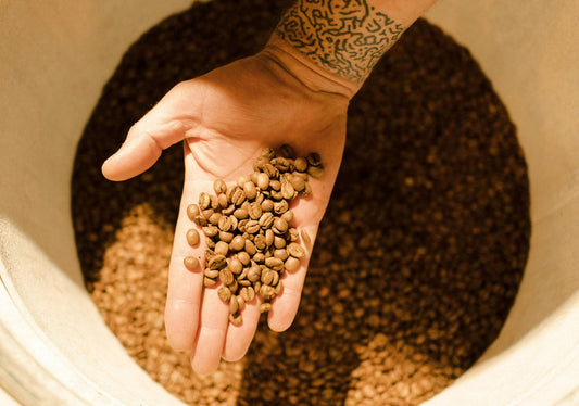 Micro-Lot Spotlight: Uncovering the Unique Flavors of Rare Coffee Varieties