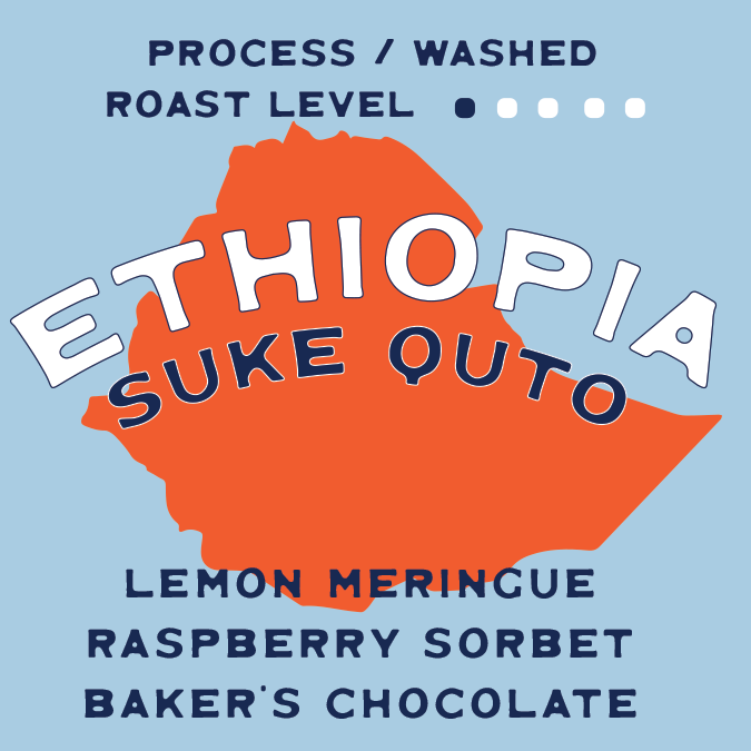 Buy Ethiopia Suke Quto Guji Washed Single Origin Coffee