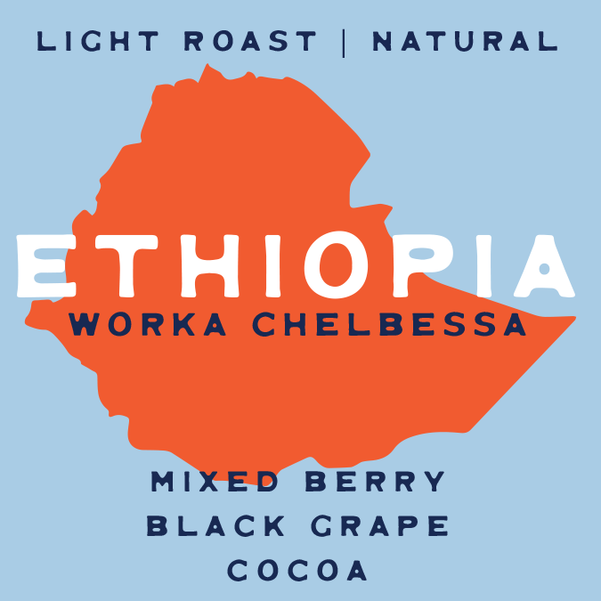 Buy Ethiopia Worka Chelbessa Single Origin Coffee