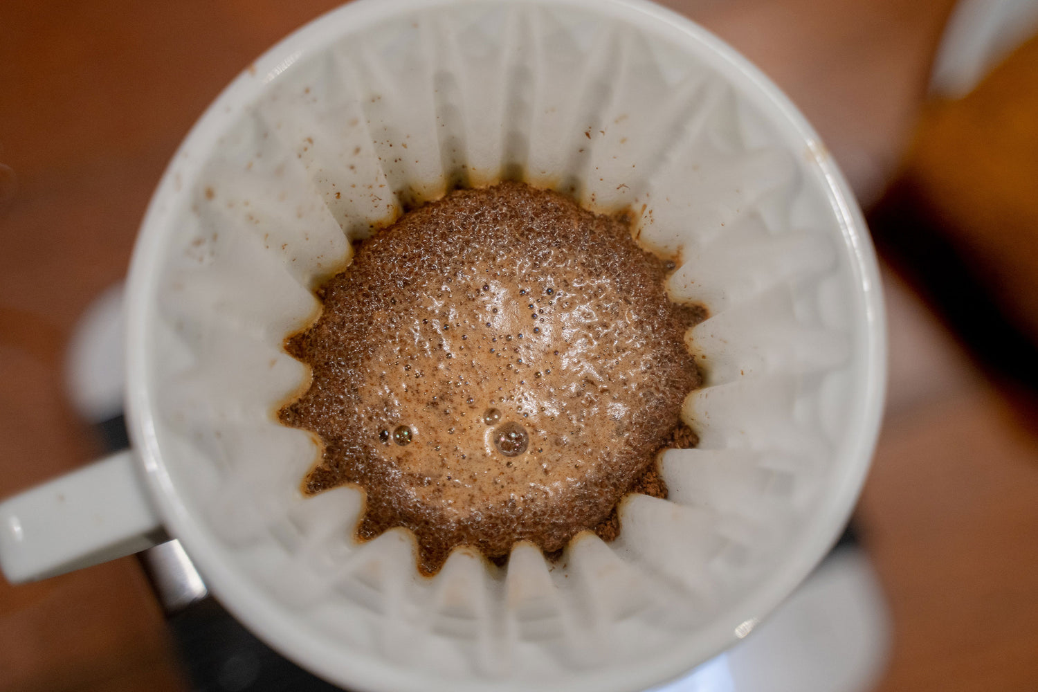 Buy Guatemala Sierras de las Minas Single Origin Coffee