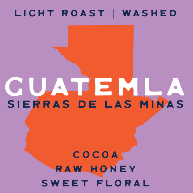 Buy Guatemala Sierras de las Minas Single Origin Coffee