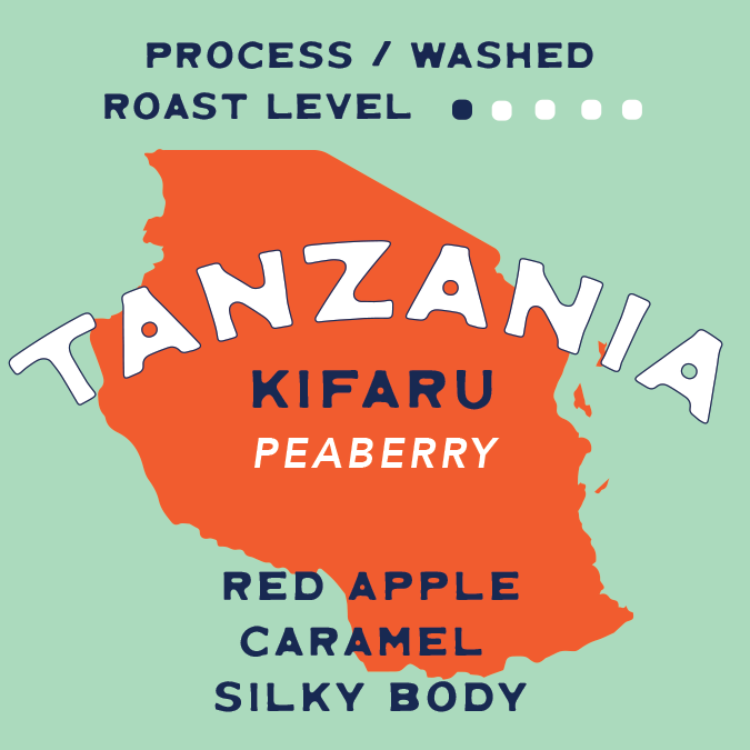 Tanzania Kifaru Peaberry – Washed Process