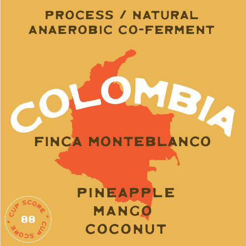 Colombia Finca Monteblanco Purple Caturra Tropical Natural Co-Ferment