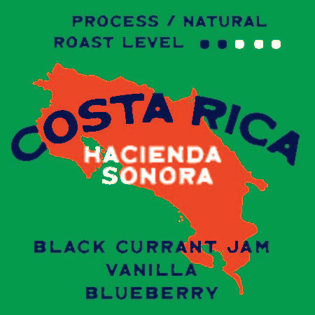 Costa Rica Hacienda Sonora Honey