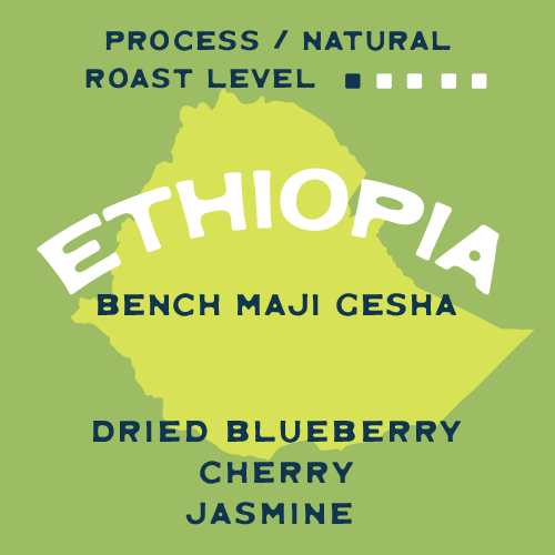 Ethiopia Bench Maji Gesha Farm G1 Natural
