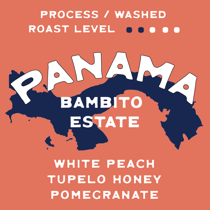Buy Panama Bambito Estate Single Origin Coffee