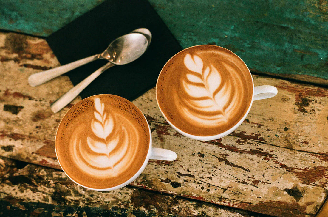 Beyond Beans: Dairy-Free Milk Alternatives & How They Affect Texture