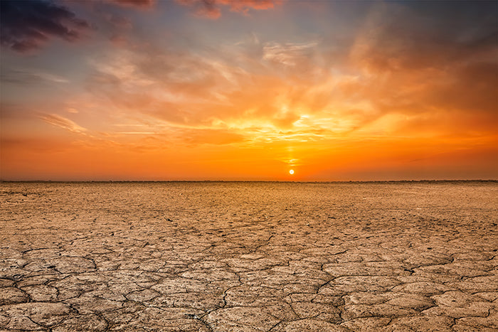 Climate Change and Coffee Production