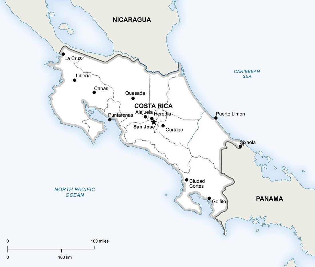 Coffee from Costa Rica a Brief Introduction
