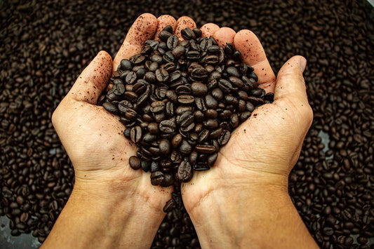 From Farm to Cup: A Complete Journey