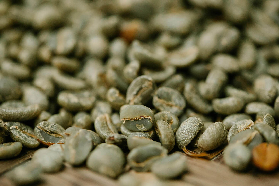 From Green to Brown: What Actually Happens Inside a Roasting Bean