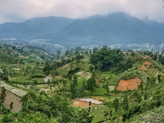 Indonesian Coffee: A Deep Guide to One of the World’s Most Distinctive Origins