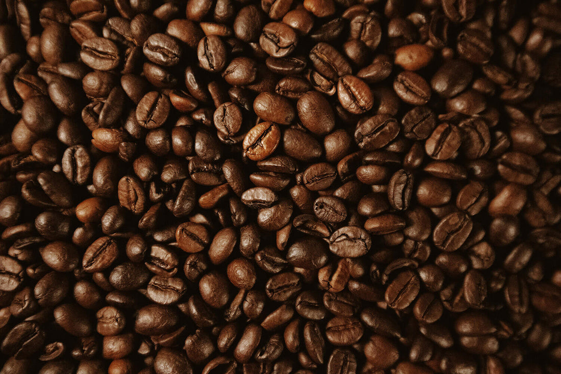 Why Coffee Degasses and Why It Matters