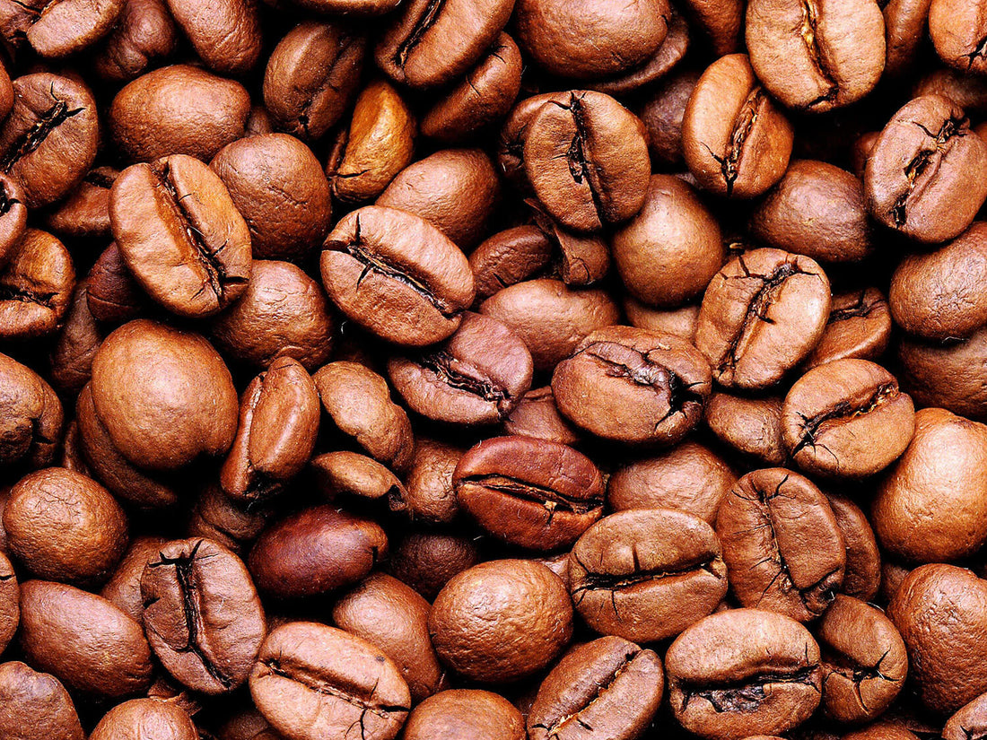 Understanding Coffee Roast Levels: Light, Medium, and Dark Explained