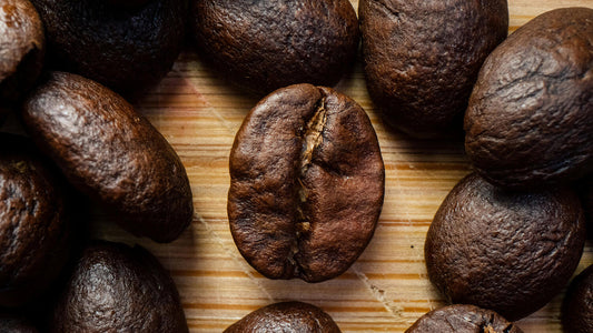 What Is Washed, Natural, and Honey-Processed Coffee? A Guide to Processing Methods