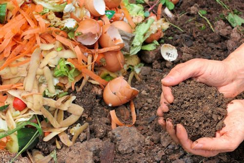 Community Composting Through Local Coffee