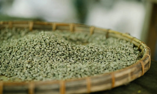 Raw green coffee beans spread across a woven tray before roasting