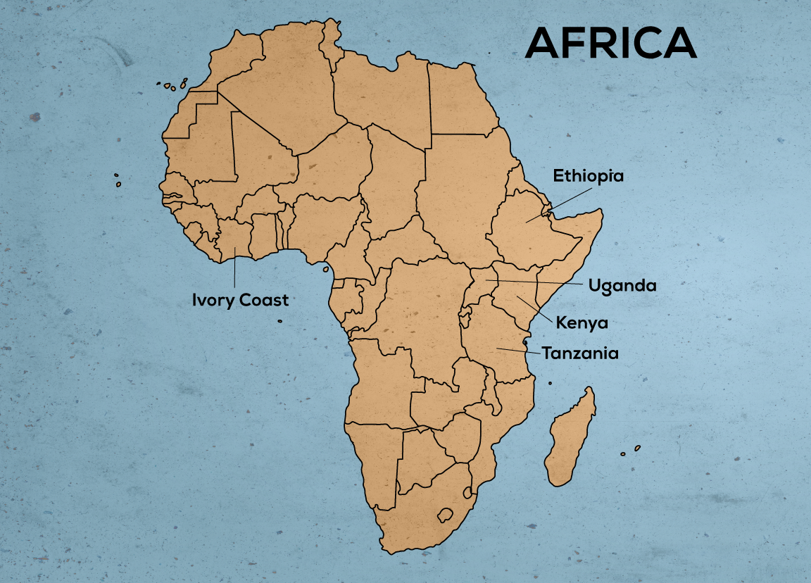 Single Origin Coffees from Africa