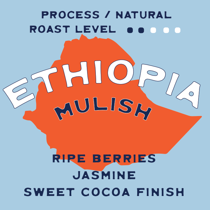 Ethiopia Mulish – Natural Process