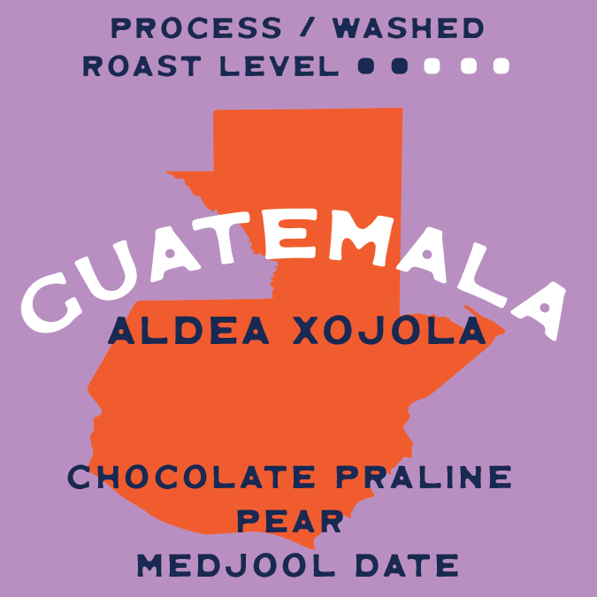 Buy Guatemala Aldea Xojola Single Origin Coffee Online Achilles Coffee Roasters 