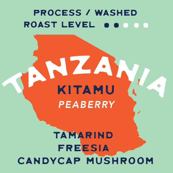 Buy Tanzania Kitamu Peaberry Single Origin Coffee