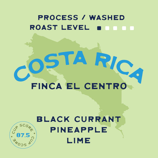 Costa Rica Finca El Centro Washed Process