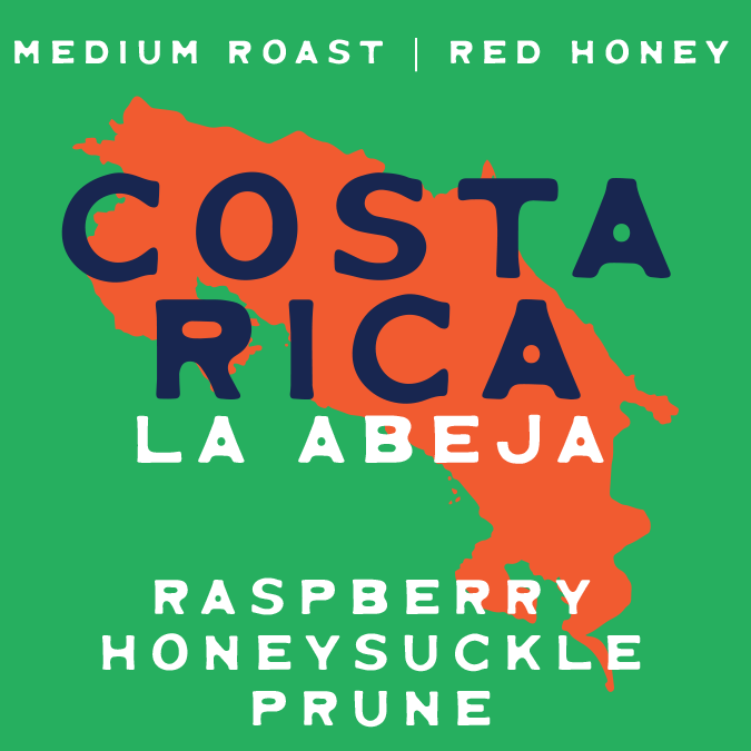 Buy Costa Rica La Abeja Single Origin Coffee