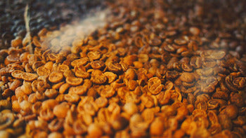 How Altitude Affects the Flavor of Coffee Achilles Coffee